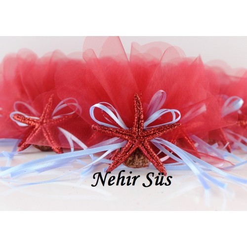 Kırmızı Deniz Yıldızı